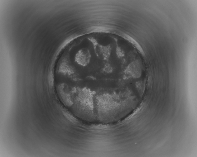 X0000111421027200908031301