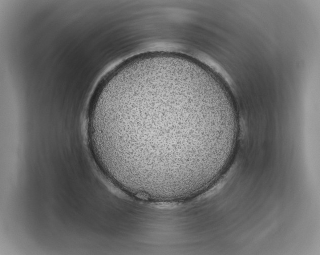 X0000111421029200908031301