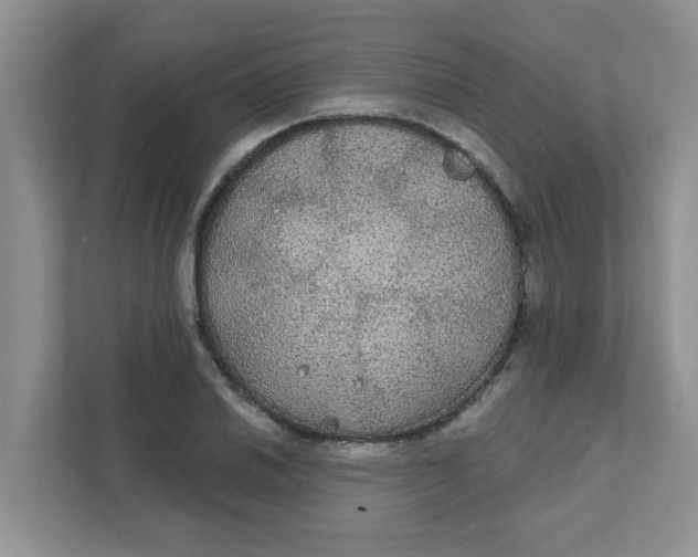 X0000111421030200908031301