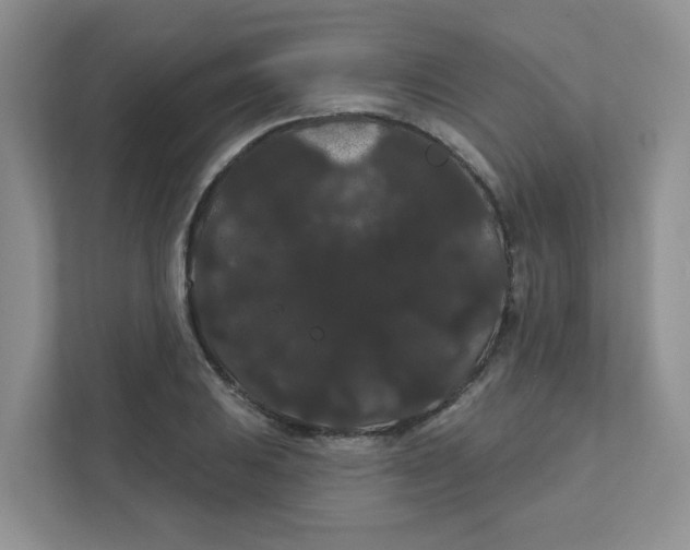 X0000111421031200908031301