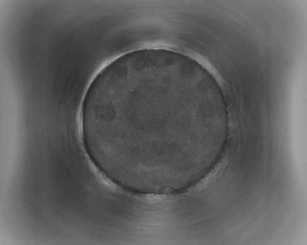 X0000111421032200908031301