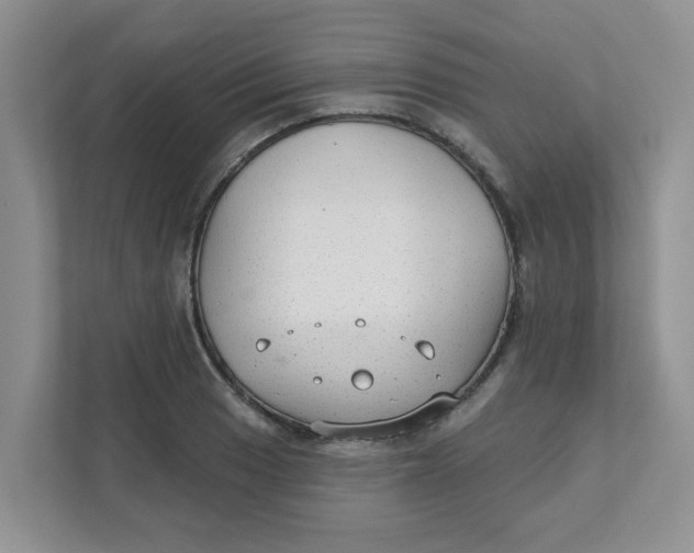 X0000111421033200908031301