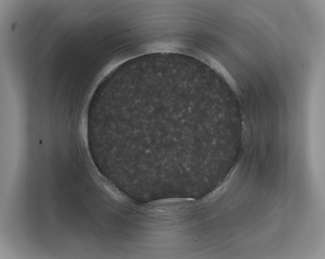 X0000111421035200908031301