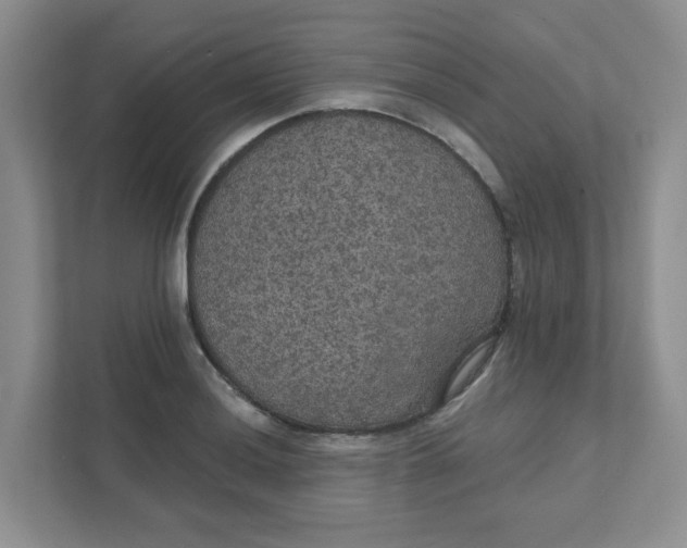 X0000111421036200908031301