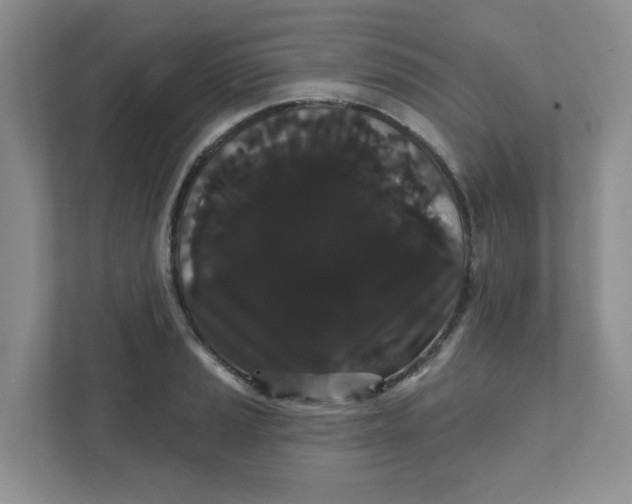 X0000111421037200908031301