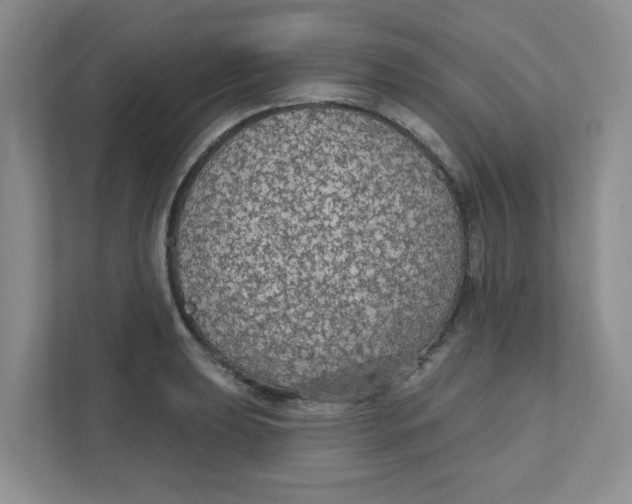 X0000111421039200908031301