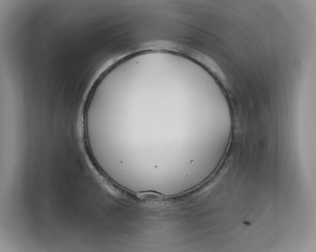 X0000111421040200908031301