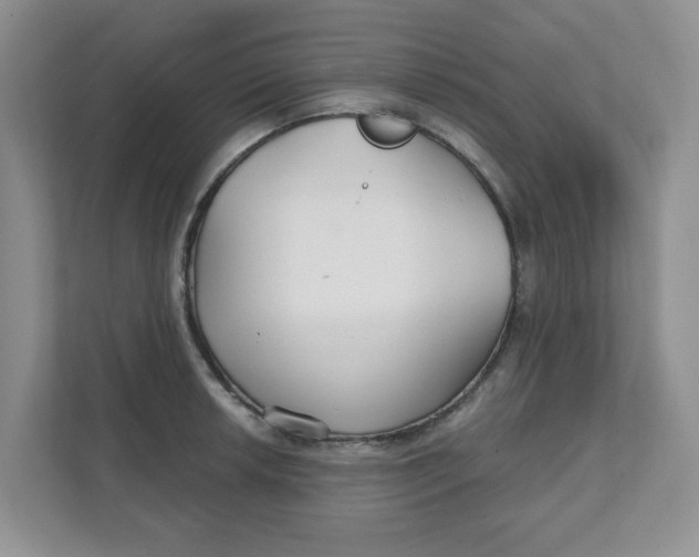 X0000111421042200908031301