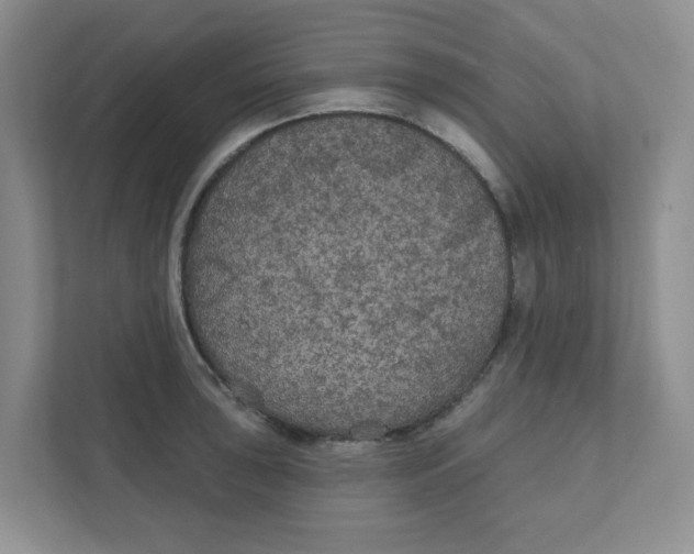 X0000111421043200908031301