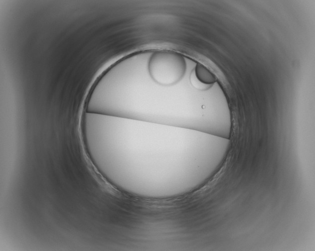 X0000111421044200908031301