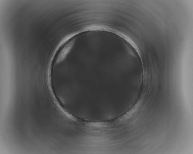 X0000111421045200908031301