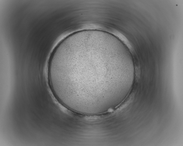 X0000111421046200908031301