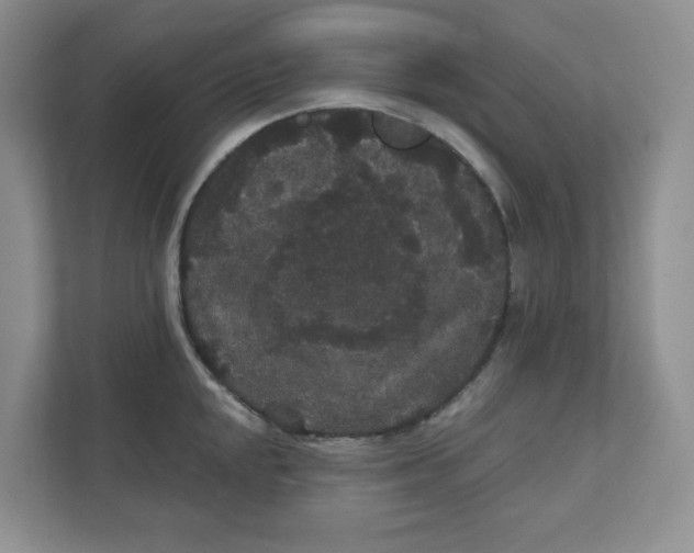 X0000111421048200908031301