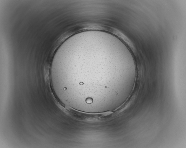 X0000111421049200908031301