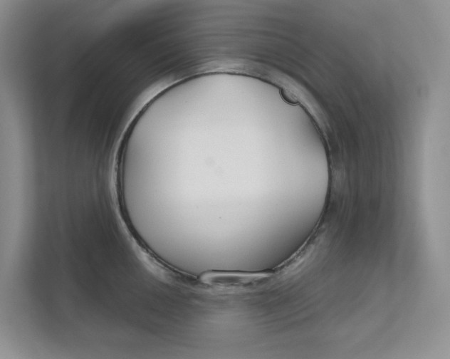 X0000111421050200908031301