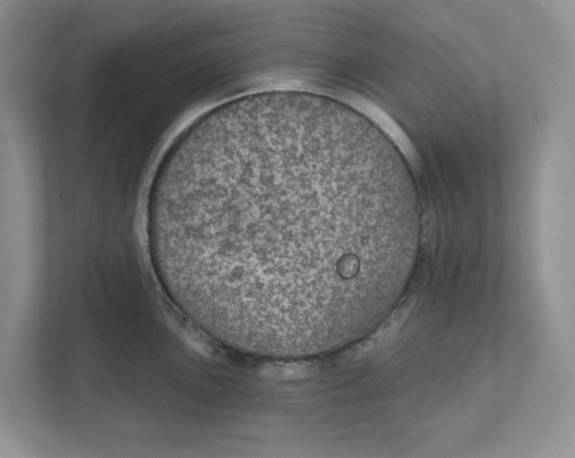 X0000111421051200908031301