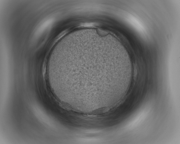 X0000111421052200908031301