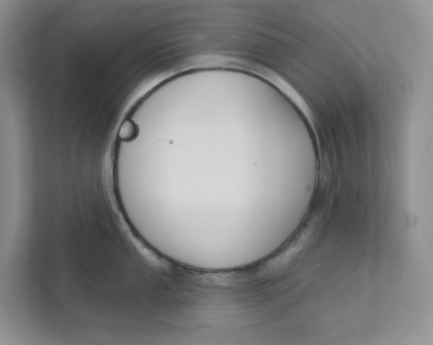 X0000111421053200908031301