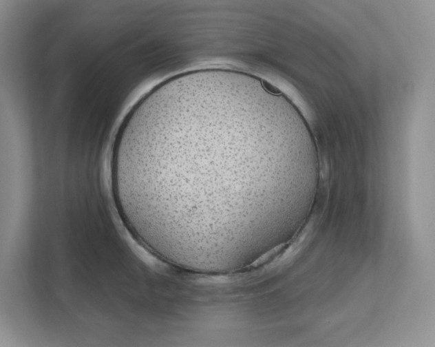 X0000111421054200908031301