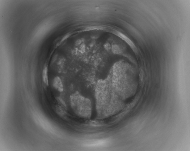 X0000111421055200908031301