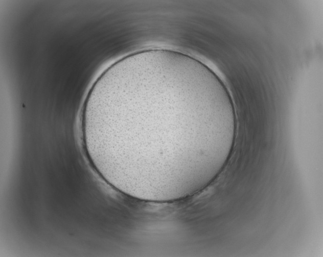 X0000111421056200908031301