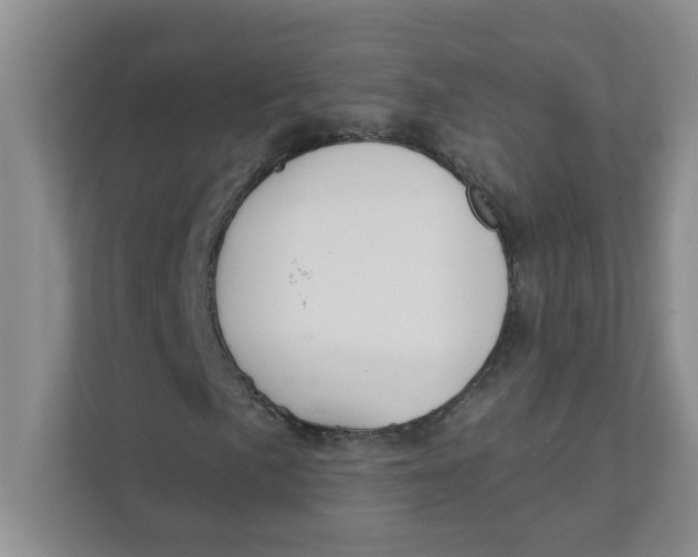 X0000111421057200908031300