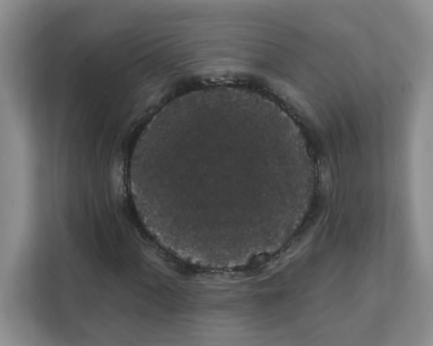 X0000111421060200908031300