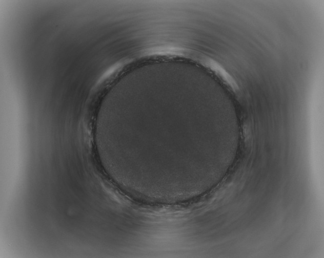 X0000111421064200908031300