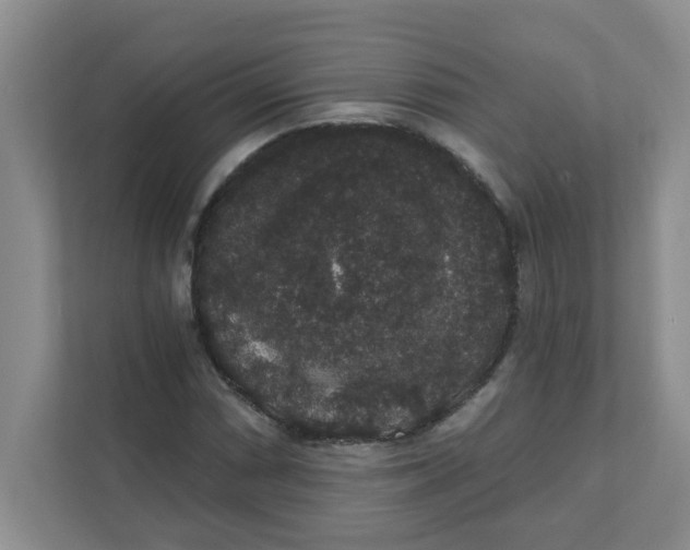 X0000111421066200908031300