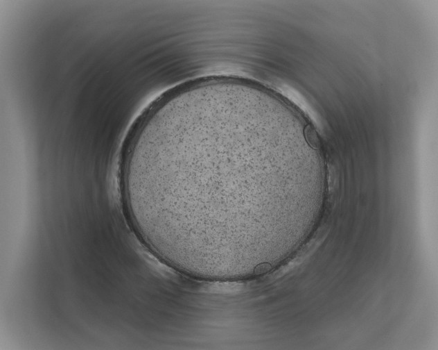 X0000111421068200908031300