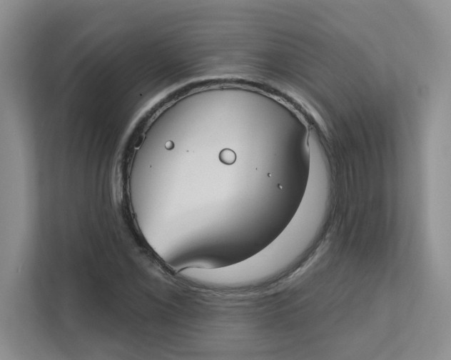 X0000111421069200908031300