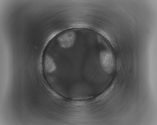 X0000111421071200908031300