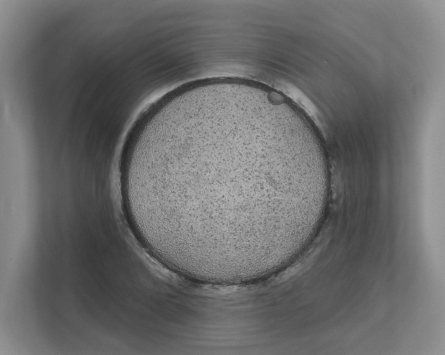 X0000111421072200908031300