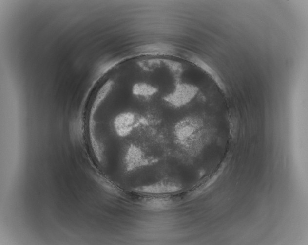 X0000111421074200908031300