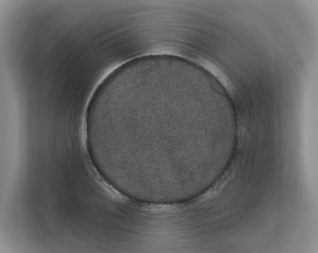 X0000111421076200908031300