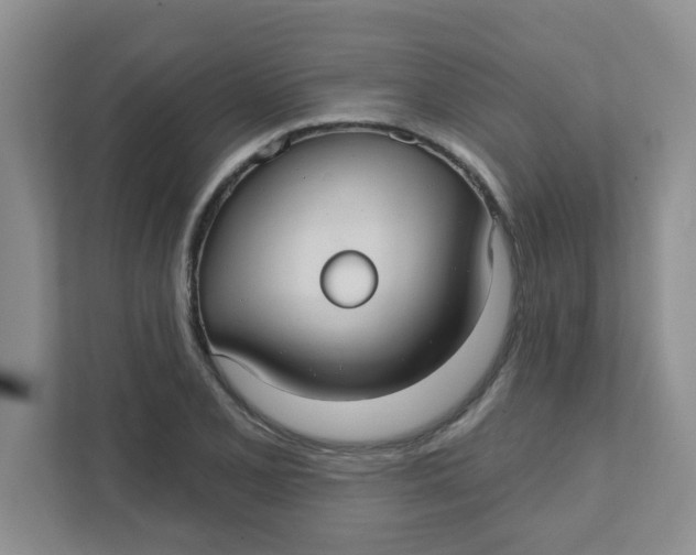 X0000111421077200908031300