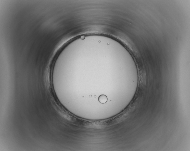 X0000111421078200908031300