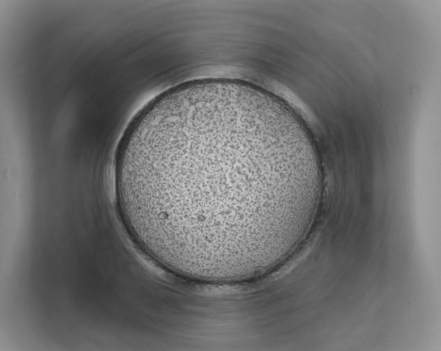 X0000111421079200908031300