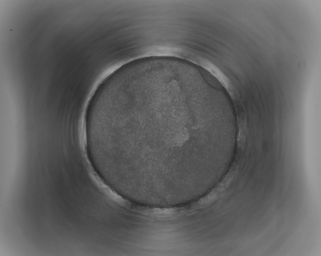 X0000111421080200908031300