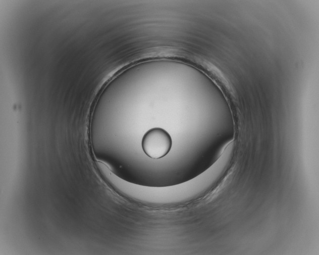 X0000111421081200908031300