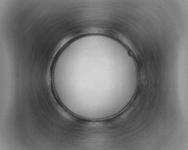 X0000111421082200908031300