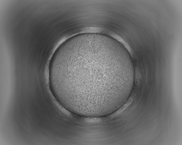 X0000111421083200908031300