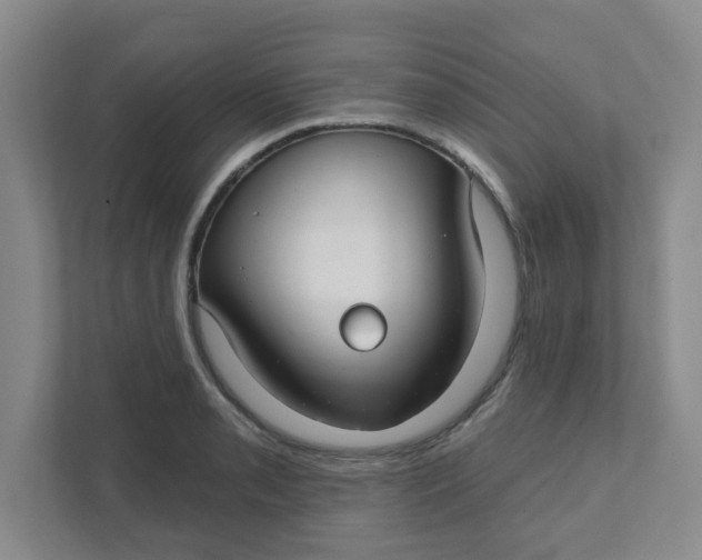 X0000111421085200908031300