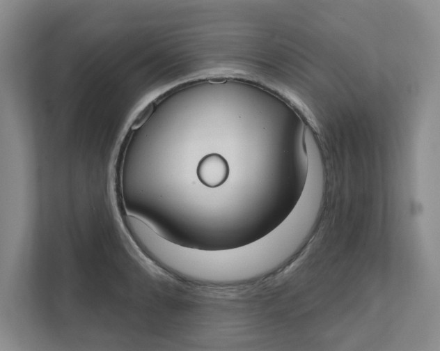 X0000111421086200908031300