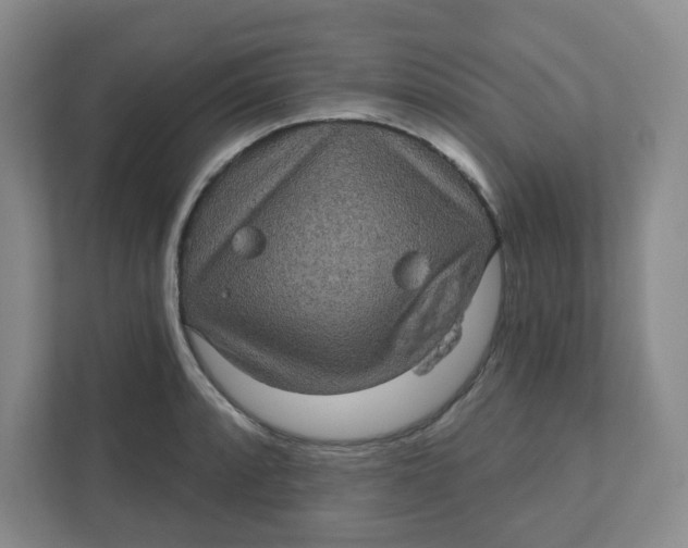 X0000111421088200908031300