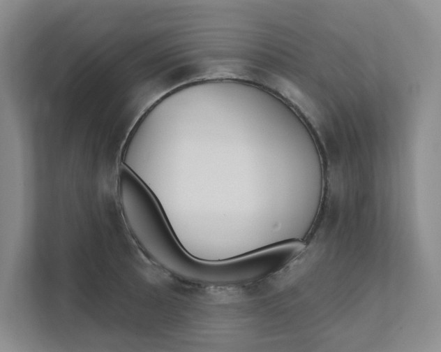 X0000111421089200908031300