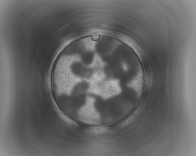 X0000111421090200908031300