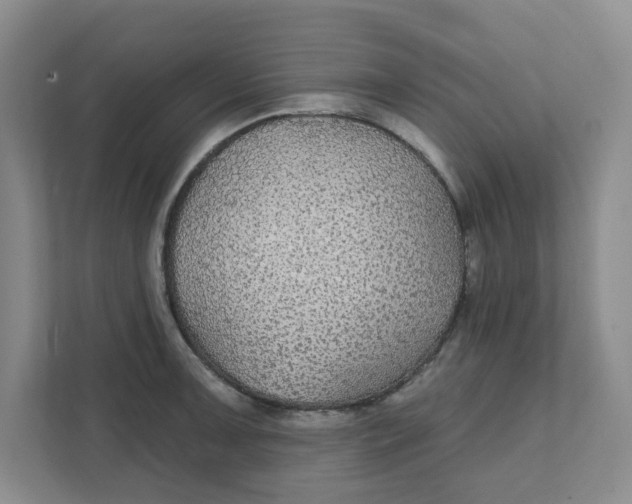 X0000111421091200908031300