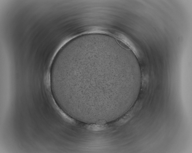 X0000111421092200908031300