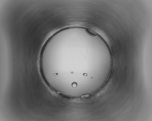 X0000111421093200908031300